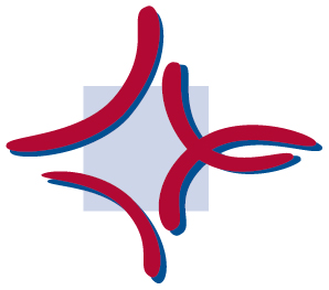 Logo Katholische Hochschule Mainz Catholic University of Applied Sciences